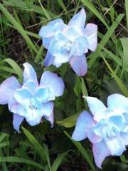 합작 전력 나왔습니다 고객님-!