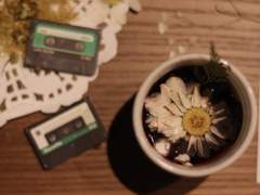 [현제유진] 글쓰는 소리 : 봄