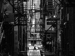 [태현조] - 沈默