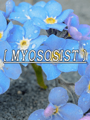 Myosotis