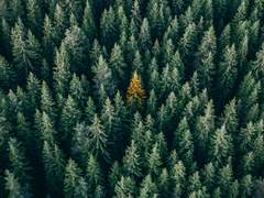 [사반/빙하청추] 썰백업 8 - 선택