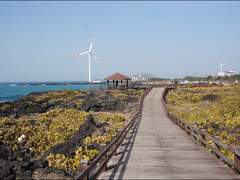 [홉진] Heimish 中