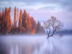 Deeds of Surpassing Valor - Foegerfeax