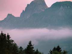 [핀마에핀] 죽음을 대하는 올바른 방식 (2)