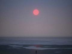 [상고로드림] A thin red line