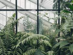 [안나켈리] Terminal velocity