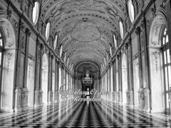 Fantasy Of the Revolution / prologue