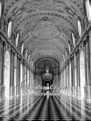 Fantasy Of the Revolution