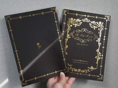 인세인 'The Little Rosebed(잠자는 숲 속의 공주)' 웹판매