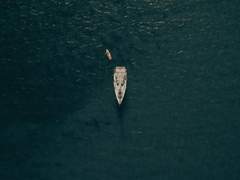 이해할 수 없는