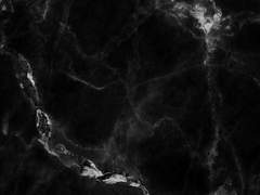 타워 속 우리 10