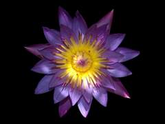 [뷔국] 到彼岸(도피안) 1