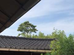 『99』 내가 할 수 있는 말