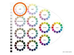 강호동 퍼스널 컬러 분석