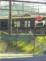 국내 쩜오디 드림