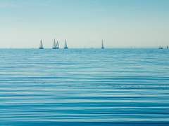 [뷔국] 다시 만난 바다