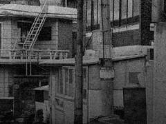 빗속, 여린 상흔 10화 - 과거(6)