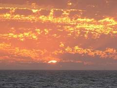 [토니피터] 사랑과 죽음의 역학 15