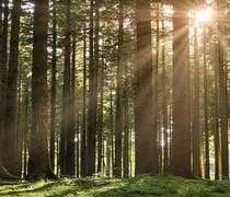 [완결] raison d'etre 추천 W.도묵