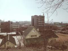 나는 아직 여기에.