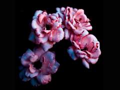 [민국사부] Theme of