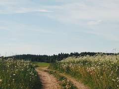 희망은 단순한 도피용 도구가 아니니까