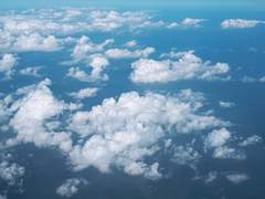 겨울과 늑대(상)