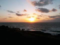 어릿광대의 회상