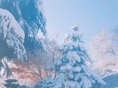 아이쿠, 애기야! - 上