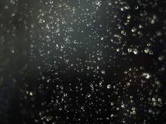 [상드쇼팽] 빗방울 전주곡