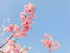 스무 살... 어느 봄 날.