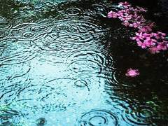 3월... 비가 내리는 날.