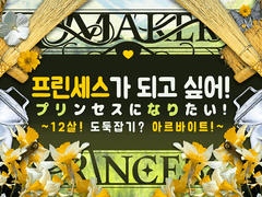 [InSANe] 프린세스가 되고 싶어! ~12살! 도둑잡기? 아르바이트!~