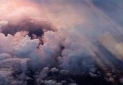 To. 아실링 헤일로에게.