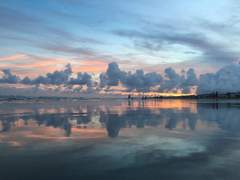 레나투스 로건의 고찰