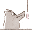 수의학과 3학년 한해준