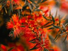 [마블_로키 드림] 작은 신부