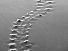 빌어먹을 로맨스