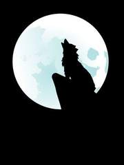 [랩홉] 랑애이분 (狼爱䔬分)