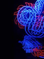 용을 사랑한 고양이