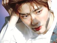 돌아가고 싶은 세상이 있었다.