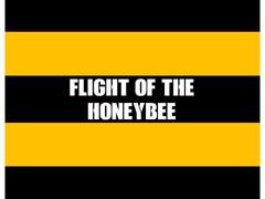 [랩른] 왕꿀벌의 비행 3