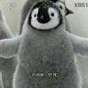 진진자라진진자