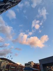 그냥 이것저것 일기장같은 거