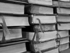 [번역]시간의 파트너 3. 종단속도를 향하여 (Partners in Time Pt.3 - Approaching Terminal Velocity) #1