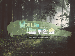 낮게 나는 새를 위한 숲