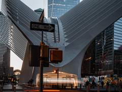 될성부른 나무의 떡잎은 싹부터 잘라라