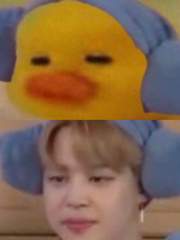 [국민] 경찰아조씨와 뿅아리🐣