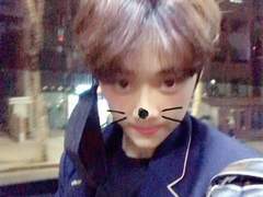 하프 로맨틱 써머