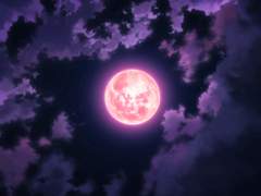 [중혁독자] 구미호 월담기 09 - 10